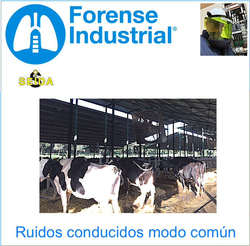 Imagen galería Forense Industrial 66